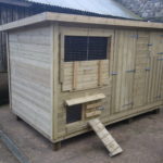 dove_chicken-house