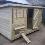 dove_chicken-house-2